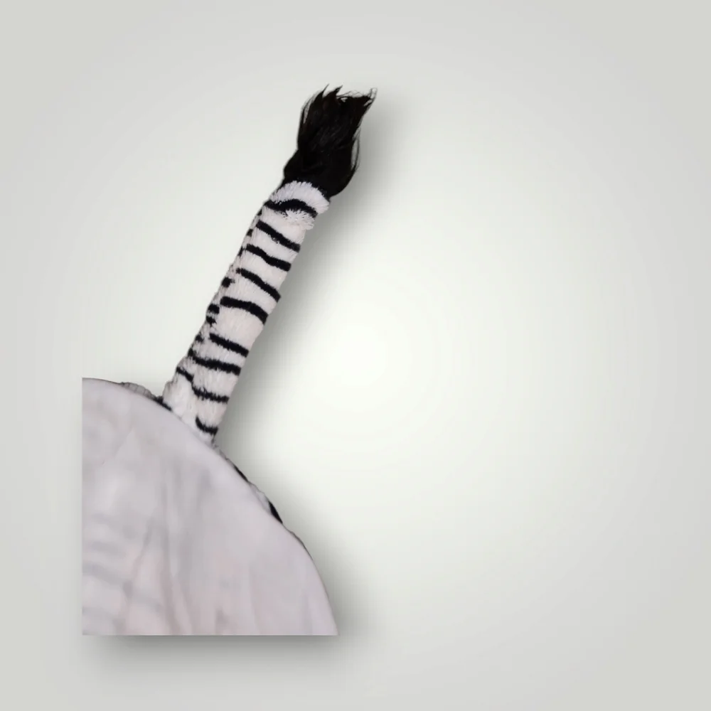 Zebra dog halloween costume clothes size L